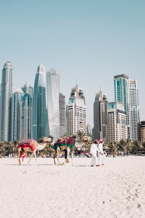 Picnic on the Beaches on Dubai New Year’s Eve