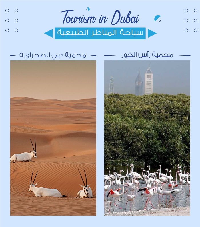 المحميات الطبيعية في دبي والإمارات